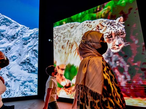 Visitors to the Pakistan Pavilion will be able to see everything Punjab during November. It's activities focuses on Balochistan province in October.