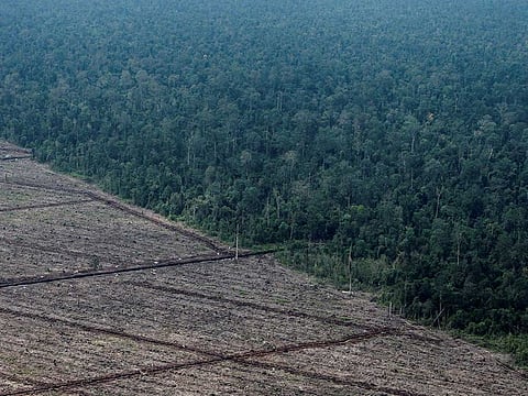 A view of deforestation on Indonesia's Sumatra island.