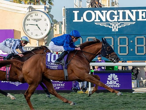 Jockey William Buick, on Yibir, claims victory in the Breeders' Cup Turf