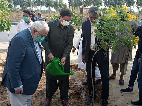 Karachi's Administrator, Murtaza Wahab, accompanied by Vice-Chancellor of NED University of Engineering & Technology, Prof Dr Sarosh Hashmat Lodi, plants a tree to launch the city's second Miyawaki forest.