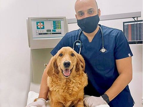 All's well that ends well: Bella with Dr Belal Al Sahlab after the procedure.