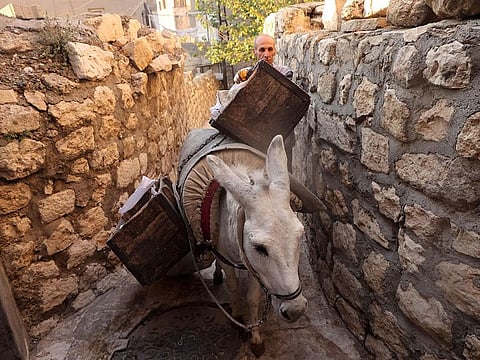 A municipal employee guiding a donkey collects garbage in the old city of Mardin.