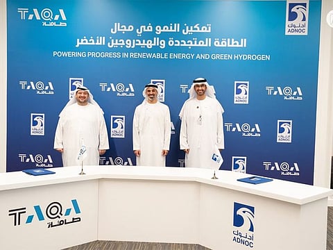 The partnership will focus on domestic and international renewable energy and waste-to-energy projects as well as the production, processing and storage of green hydrogen and ancillary activities