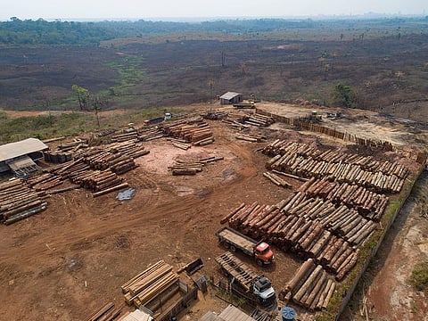 Logs are stacked at a lumber mill surrounded by recently charred and deforested fields near Porto Velho, Rondonia state, Brazil, Sept. 2, 2019.