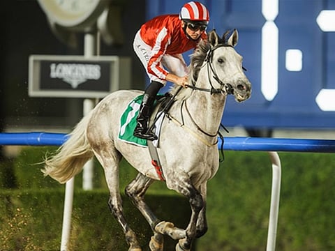 American import Rb Rich Lyke Me stamped himself as a leading Dubai Kahayla Classic (PA Group 1) contender.