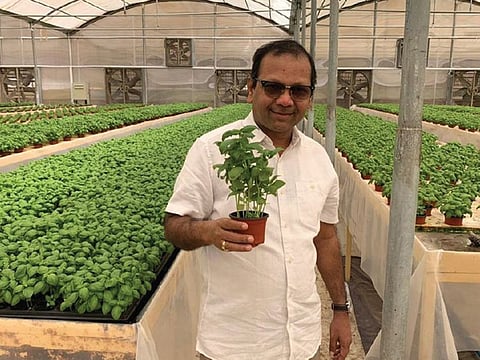 Ashok Doshi, Co-Founder, Farm Fresh Harvest