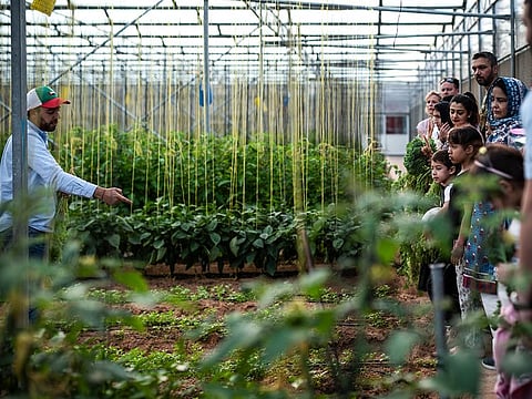 A big part of the Emirates Bio Farm mission is to educate the UAE population on how their food choices impact the environment.