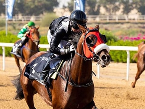 AF Yakhtem, ridden by Tadhg O’Shea