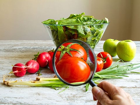Dubai Municipality has organised several scientific and awareness programmes to reiterate the importance of implementing food safety procedure
