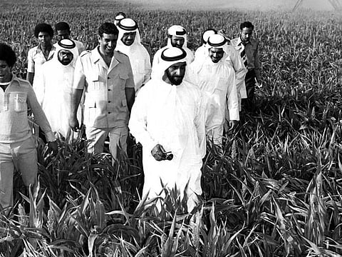 Founding Father of the UAE Shaikh Zayed Bin Sultan Al Nahyan inspecting an agriculture project in the Western Region in the 1970s