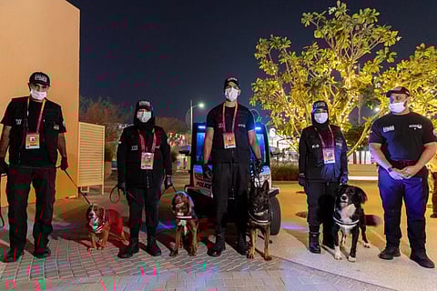The K9 stars with their handlers at Expo 2020 Dubai.