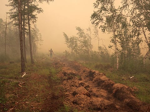 A man digs a control line during the work on extinguishing a forest fire near the village of Magaras in the region of Yakutia, Russia. The UN on Tuesday officially recognised the 38 degrees Celsius measured in Siberia last year as a new record high for the Arctic.