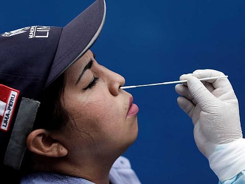 After becoming infected or vaccinated, the body creates neutralising antibodies and memory T cells against the virus. The neutralising antibody serves to prevent host cells from being infected by the virus. While memory T cells cannot prevent the infection, they can quickly search and destroy infected cells, preventing the viral infection from progressing into a severe disease.