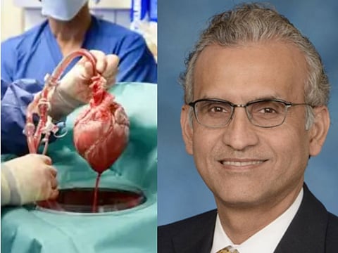 Dr Muhammad M. Mohiuddin, a Pakistani-American scientist-surgeon, is considered one of the world’s foremost experts on transplanting animal organs, known as “xenotransplantation” — or “xenografting”.