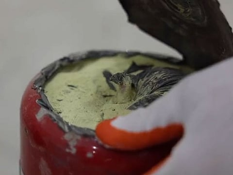 Kuwait applies tough penalties in drug cases, including the death penalty.