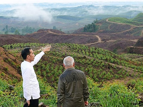 File photo: Indonesian President Joko Widodo (L) during his visit to North Penajam Paser district near Sepaku in East Kalimantan, where the government plans to build its new capital city replacing Jakarta.