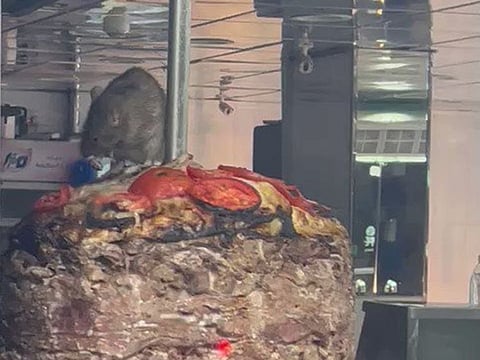The rat on the shawarma at a Jeddah restaurant.