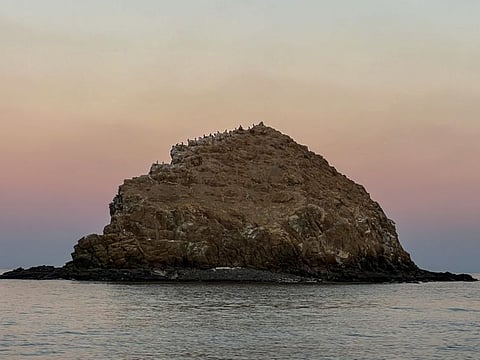 Dibba Rock in Fujairah is the most common place for scuba diving and snorkelling in the emirate.
