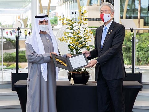 Orchid diplomacy: The new bloom, named ‘Dendrobium Expo 2020 Dubai’, was presented by Teo Chee Hean, Singapore Senior Minister and Coordinating Minister for National Security, to Sheikh Nahayan Mabarak Al Nahayan, UAE Minister of Tolerance and Coexistence and Commissioner General of Expo 2020 Dubai at the Singapore Day ceremony in Dubai on Saturday.