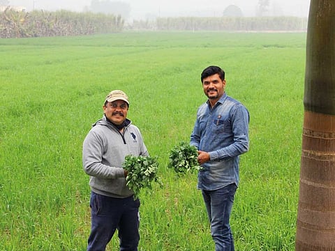 Farmers Family has tied up with ICAR Lucknow, an Indian government agriculture body to work across several fields including low cost hydroponics