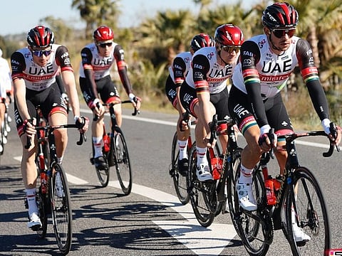 Team UAE Emirates peloton in action on the second day of Mallorca Challenge where Ryan Gibbons finished second.