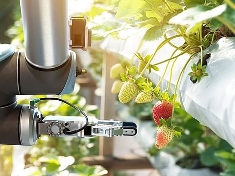 Food for Future Summit & Expo to debut at Expo 2020 Dubai