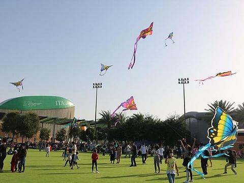 The kite-flying event sought to inspire sustainability