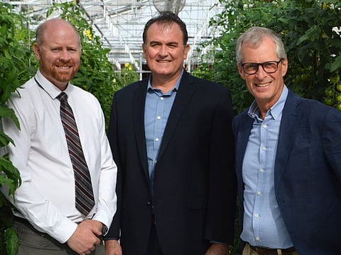 Will Red Sea Farms' agri-technology find fertile ways to grow the business in the US?