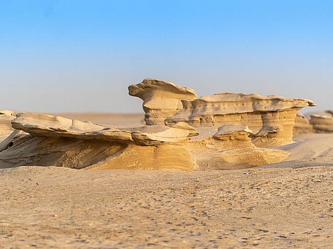 Ahead of its opening, the EAD has also called upon visitors to protect the rare natural heritage site.