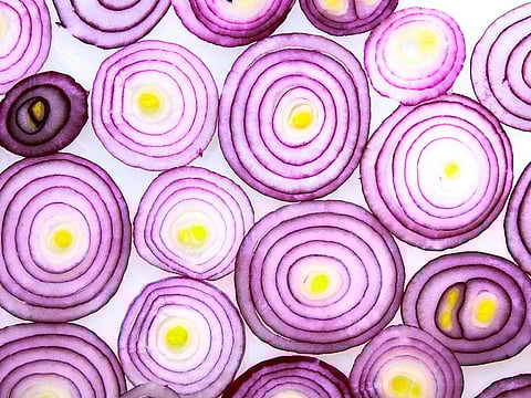 The concentric circles in onions. Prices have gone through the roof in the Philippines.