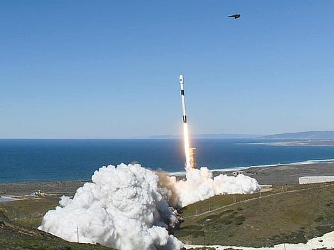 A bird takes flight as a SpaceX Falcon 9 rocket with the NROL-87 spy satellite payload for the National Reconnaissance Office launches from the SLC-4E launch pad at Vandenberg US Space Force Base on February 2, 2022 in Lompoc, California.