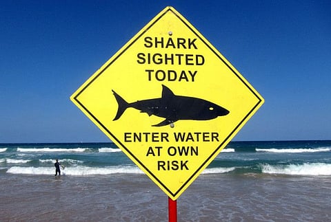 A sign declaring a shark sighting on Sydney's Manly Beach, Australia, in a file photo.