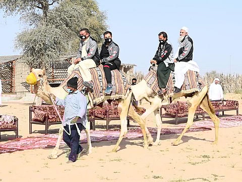 The significance of camels in UAE culture was among many other aspects of local heritage that the workers enjoyed