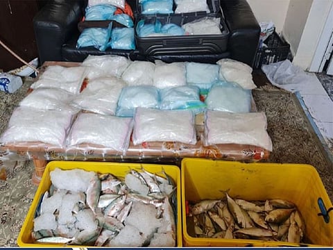 A total of 38kg of crystal meth concealed in fish guts was seized by Abu Dhabi Police.