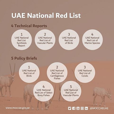 The Ministry of Climate Change and Environment (MOCCAE) on Friday issues the UAE National Red List on the status of wildlife species in the country.