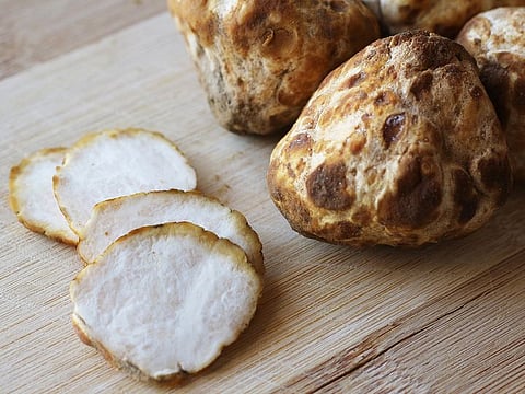 Truffle hunting gets underway in January in rain-hit sites mainly in the Northern Borders and H’ail in north-western Saudi Arabia.