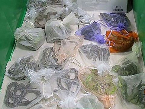 This February 2022 photo provided by the US Customs and Border Protection shows snakes in bags found hidden under and in a man's clothes by CBP officers at the San Ysidro, Calif., port of entry.