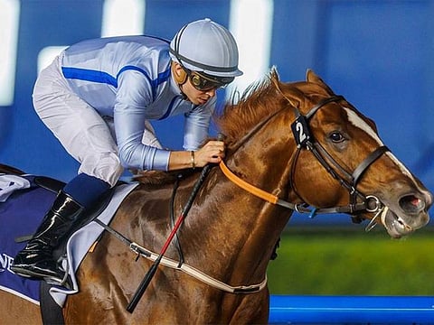 Hypothetical won the Al Maktoum Challenge Round 3 on Super Saturday at Meydan