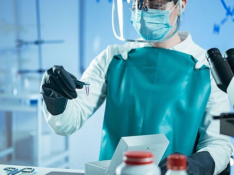 Stem cells once extracted are stored under cool conditions using liquid nitrogen.