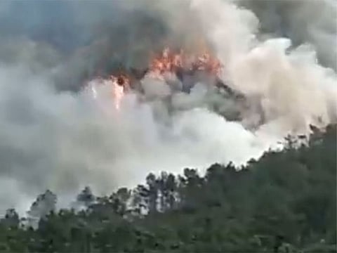 The Boeing 737 plane crashed in the rural countryside near Wuzhou city.