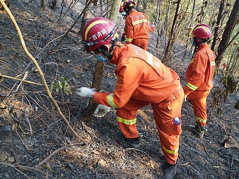 Rescue operation underway for crashed plane
