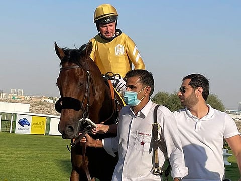 The Bhupat Seemar-trained Remorse runs in the Dubai World Cup
