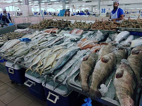 Stocks of hamour, qabit and other commercially traded fish increased significantly in Abu Dhabi waters in 2021. Picture for illustrative purposes only.