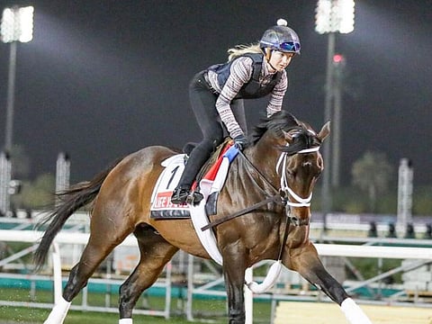 Life Is Good is the one to stop at the 2022 Dubai World Cup