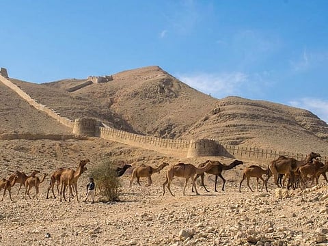 Areas in SIndh province have experienced acute water shortage.