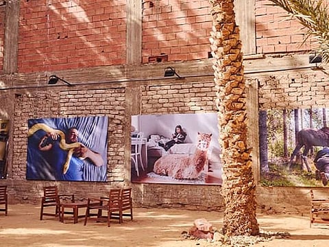 The festival celebrated the rich culture and heritage of AlUla in Saudi Arabia.