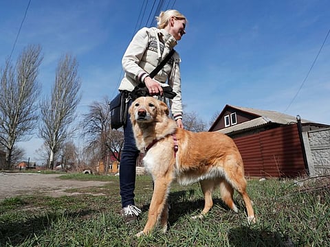 Volunteer Yulia stands with Ryzhulya, a 7-year-old dog who is being evacuated to Russia amid Ukraine-Russia conflict, in the separatist-controlled city of Donetsk.