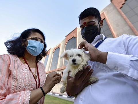 Enjoying the company of pets was one of the ways in which students of grades 10 and 12 at The Indian High Group of Schools destressed ahead of their CBSE board exams.