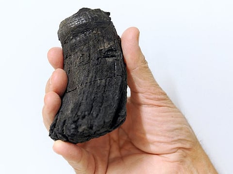 This undated handout photo courtesy of EurekAlert and the University of Zurich shows the root of the thickest ichthyosaur tooth found so far with a diameter of 60 Millimeters.