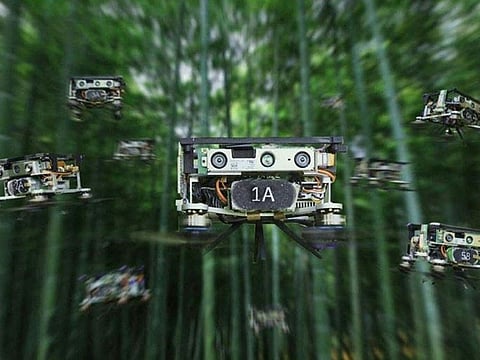 A new, AI-driven flight path planning system enables drone swarms to fly through crowded forests without collisions.